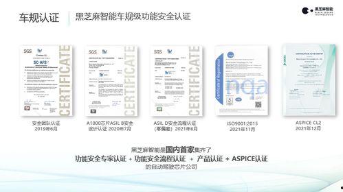 国产AB片,探索中国影视新纪元